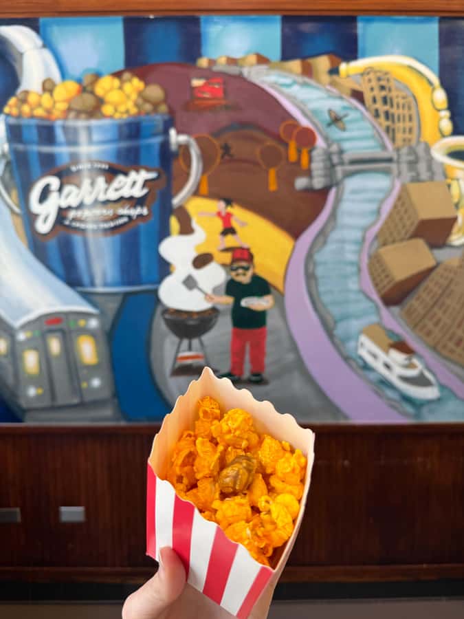 Chicago: Secret Food Tour - The Sears vs. Willis stop: skyline energy plus a secret dish