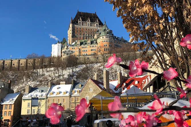 Combo Historical and Food Tour of Old Quebec - Four to five gourmet stops (5 courses): how the tasting dinner is paced