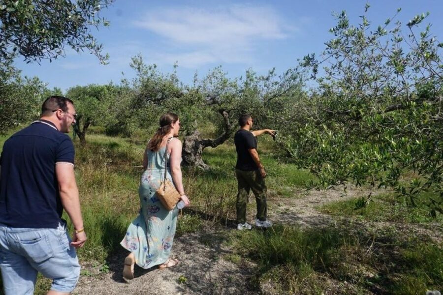 Crete: Full-Day Cretan Wines, Olive Oil, Raki and Food Tour - Lunch at a traditional tavern: the local meal that makes the whole day work