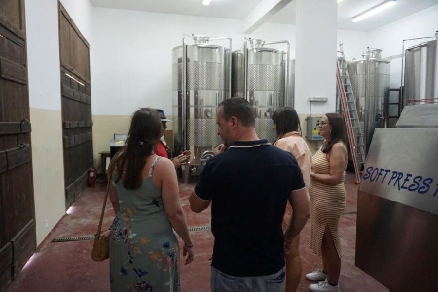 Crete: Full-Day Cretan Wines, Olive Oil, Raki and Food Tour - Thrapsano pottery workshop: the hands-on finish (and the Sunday note)