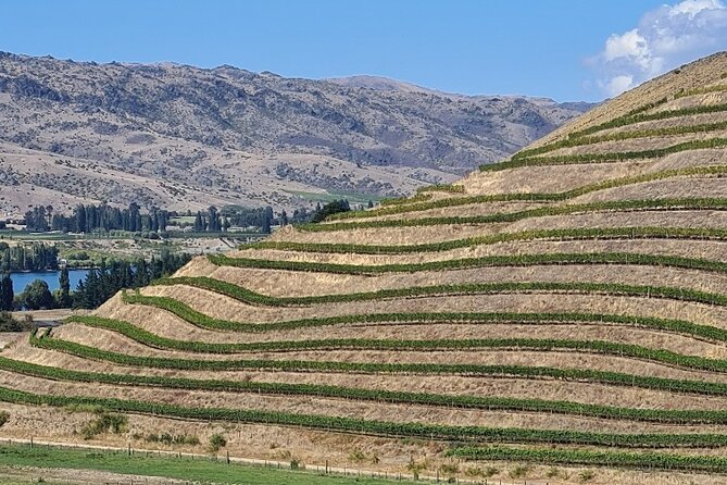 Cromwell Wine Tasting Tour using Classic Car - What you’ll taste: Pinot Noir first, then the excellent extras