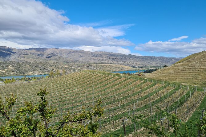 Cromwell Wine Tasting Tour using Classic Car - Practical tips to make your day go smoothly