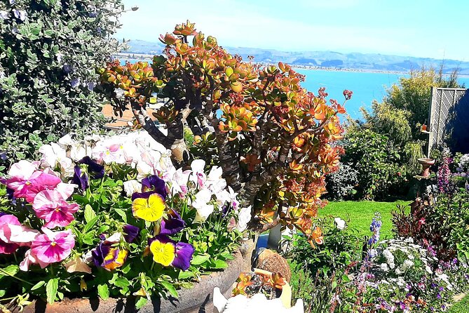 Deco Napier, Te Mata Peak, Garden Walk and Wine Tasting Tour - Te Mata Peak at 399m: the 15-minute view that changes the whole day