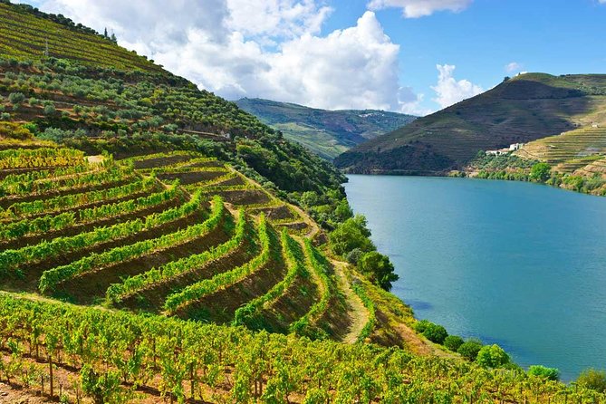 Douro Valley Private Wine and Food Tour From Porto - A Private Douro Valley Day From Porto: What You’re Really Paying For