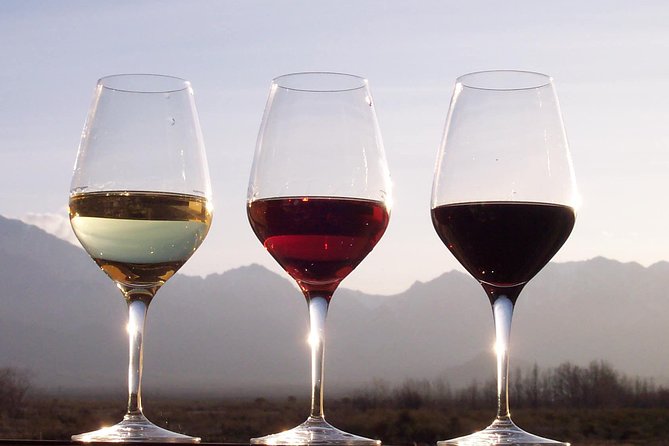 Douro Valley Private Wine and Food Tour From Porto - Pickup, Ride Comfort, and Staying on Schedule