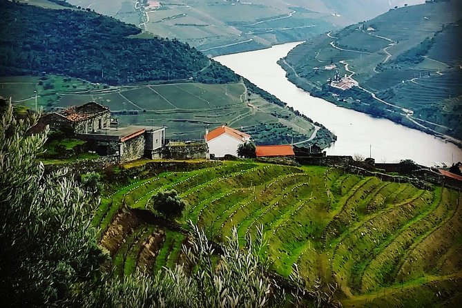 Douro Valley Private Wine and Food Tour From Porto - Casal de Loivos Viewpoint: The Short Stop That Gives You Context