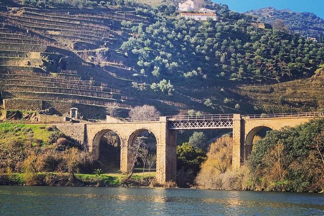 Douro Valley Private Wine and Food Tour From Porto - Pinhão Lunch: Where You Pay, and Where You Taste Real Portugal