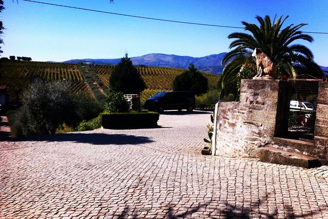 Douro Valley Private Wine and Food Tour From Porto - D’Origem: The Second Wine Stop (and Why It Matters)