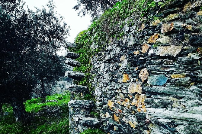 Douro Valley Private Wine and Food Tour From Porto - Price and Value: What’s Included, What’s Extra, and How to Budget