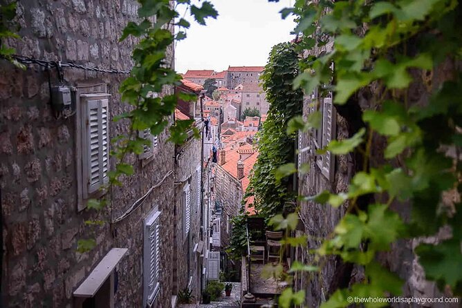 Dubrovnik Old Town Food Tour: Small-Group Experience - Price and value: Is $169.38 a fair deal for what you get?
