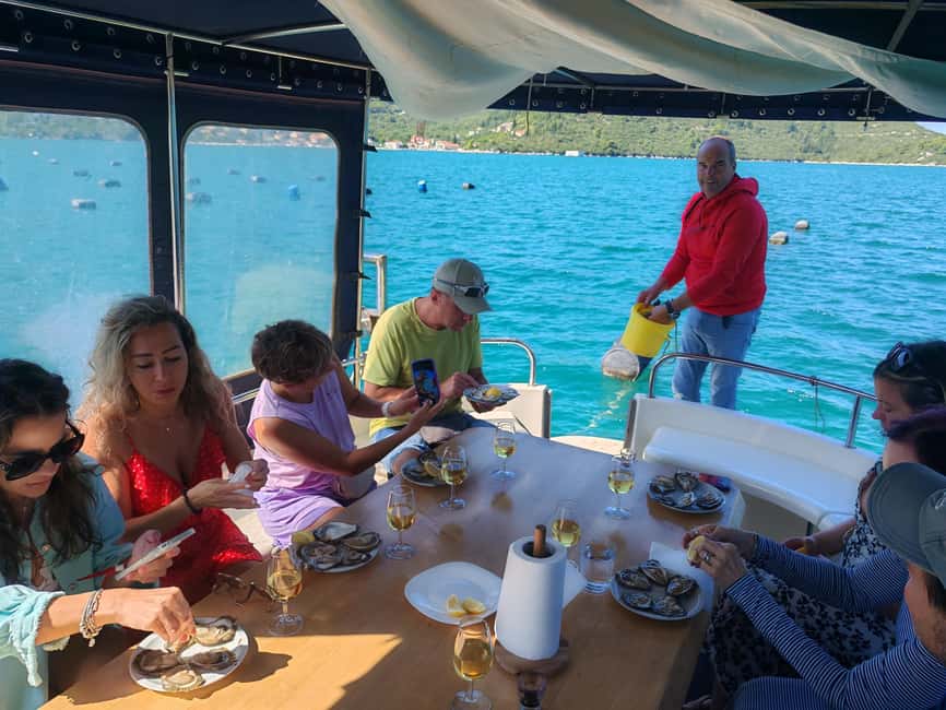 Dubrovnik: Oyster, Mussles, and Wine Tasting Tour in Ston - Price and logistics: is $176 for 4 hours good value?