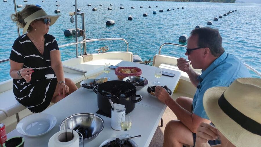 Dubrovnik: Oyster, Mussles, and Wine Tasting Tour in Ston - Oyster and mussel tasting: fresh, served with a real sense of place
