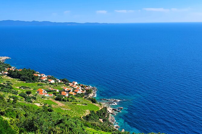 Dubrovnik Private Wine Tasting Tour to Peljesac Peninsula - Why this private Pelješac wine day is worth paying for
