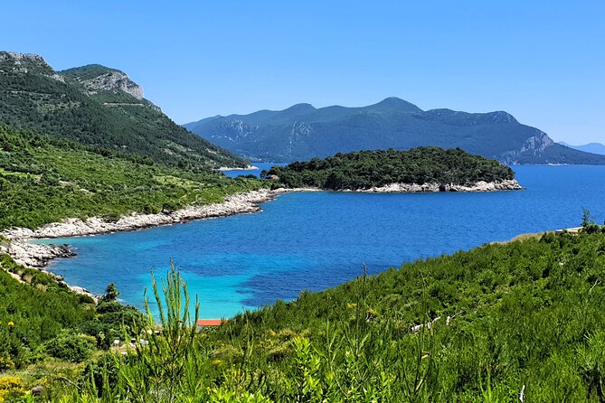 Dubrovnik Private Wine Tasting Tour to Peljesac Peninsula - Ćurlin winery in Ponikve: how traditional winemaking feels up close