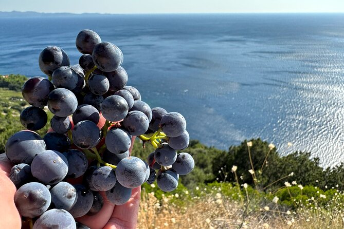 Dubrovnik Private Wine Tasting Tour to Peljesac Peninsula - Trstenik Bay: the longest break for lunch or a quick swim