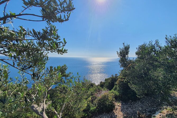 Dubrovnik Private Wine Tasting Tour to Peljesac Peninsula - Majkovi viewpoint: the quick “wow” stop with Adriatic views