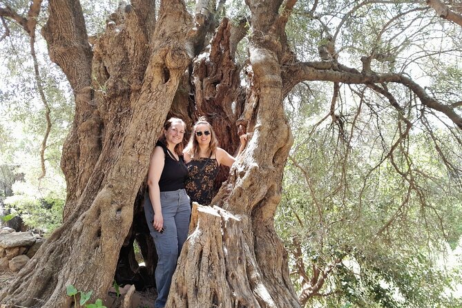 Eat & Crete Food Tour [non-touristy] Chania Villages - The Finish With Fruit or Dessert and Sea Views