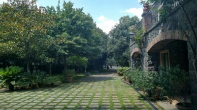 Etna: Wine Tasting and Food Tour - Zafferana Etnea: lava-front town, honey capital energy, and a quick shopping window