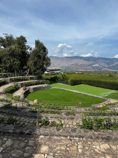 Etna: Wine Tasting and Food Tour - The van rides and Etna views: why the drive is part of the experience