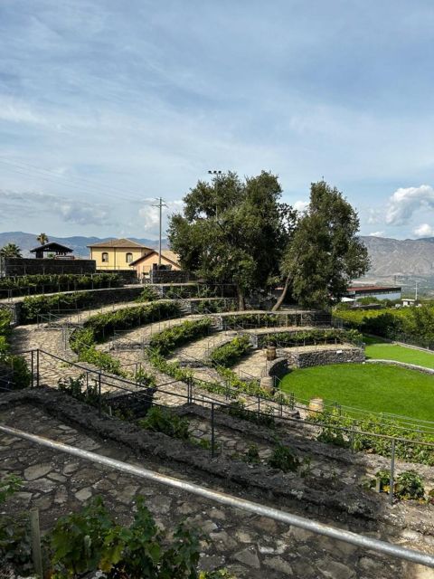 Etna: Wine Tasting and Food Tour - Price and value: what you’re really paying for at about $129