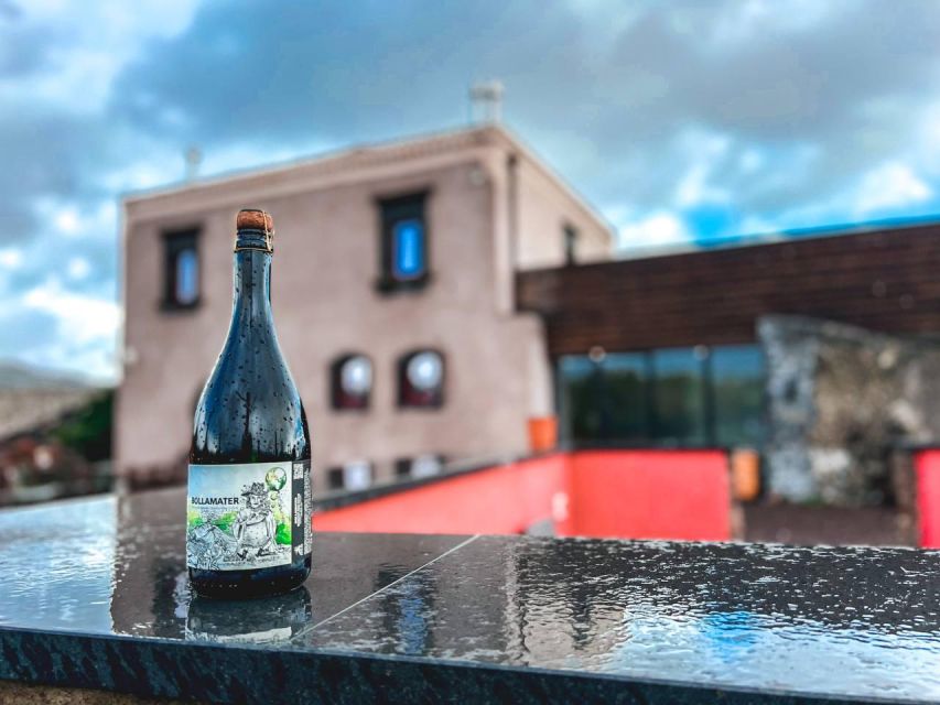 Etna: Wine Tasting and Food Tour - Should you book this Etna: Wine Tasting and Food Tour?