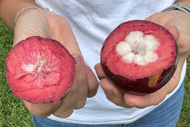 Exotic Fruit Tasting Tour in Kona - Quick hits before you go