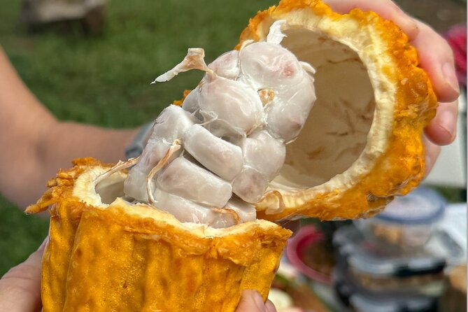 Exotic Fruit Tasting Tour in Kona - Who should book this Exotic Fruit Tasting Tour in Kona?