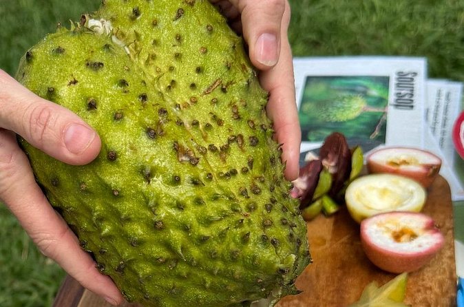 Exotic Fruit Tasting Tour in Kona - Should you book it? My take