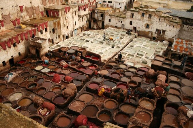 Fez Street Food Tour - Key Things to Know Before You Go