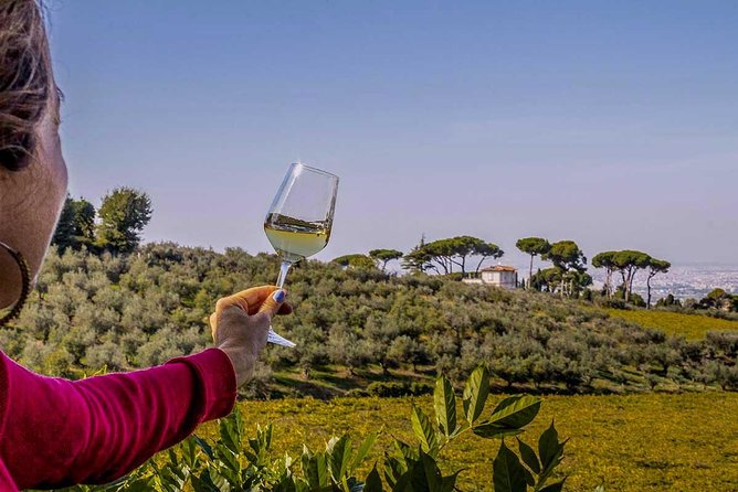 Frascati Wine Tasting Tour: The Flavors of the Roman Countryside - Stop 1 at Old Frascati Food & Wine Tours: vineyards, a 16th-century farmhouse, and cellar time