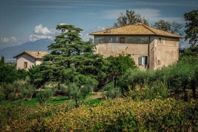 Frascati Wine Tasting Tour: The Flavors of the Roman Countryside - Getting there without a rental car: Termini to Frascati, timed well