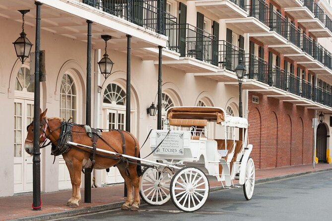 French Quarter walking Food Tour Famous Flavors of New Orleans - Key Things You’ll Notice on This Tour