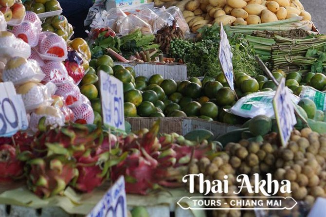 Fresh Local Market Tour - Food tour in Chiang Mai - Market time from 9:00 to 11:00: how to navigate like a local