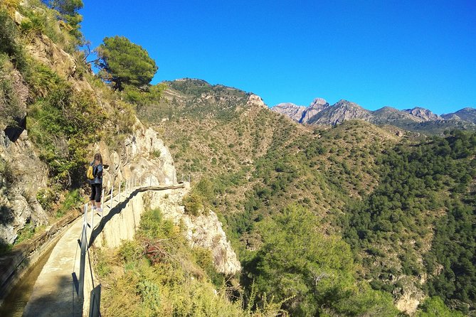 Frigiliana Small-Group Hike and Wine Tasting Tour from Malaga - Key highlights you’ll actually feel