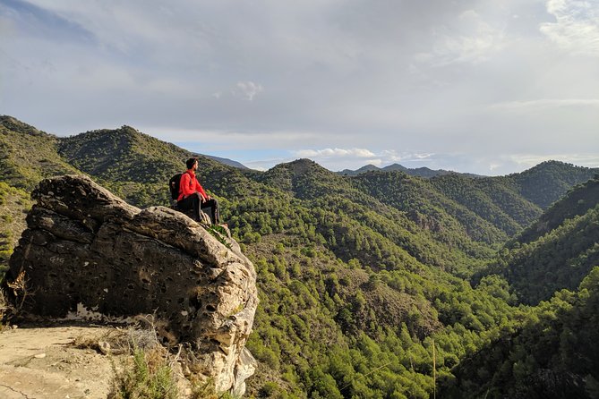 Frigiliana Small-Group Hike and Wine Tasting Tour from Malaga - Wine tasting in a cellar: the calm payoff