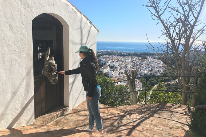 Frigiliana Small-Group Hike and Wine Tasting Tour from Malaga - Price and value: what $65.90 really covers