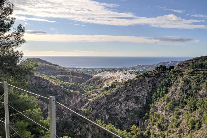 Frigiliana Small-Group Hike and Wine Tasting Tour from Malaga - Who this Frigiliana hike and wine day suits best
