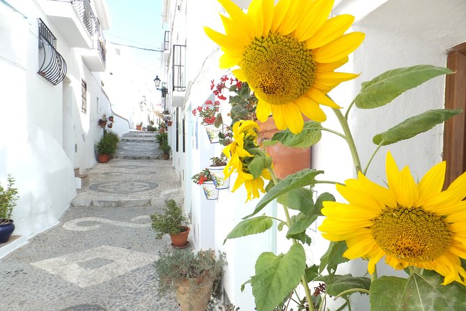 Frigiliana Small-Group Hike and Wine Tasting Tour from Malaga - Should you book this tour?