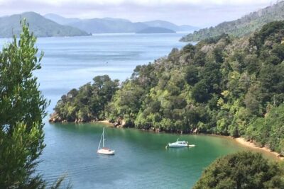From Blenheim/Picton: Marlborough Gourmet Wine Tasting Tour - From Blenheim or Picton: timing, pickups, and how long it really lasts