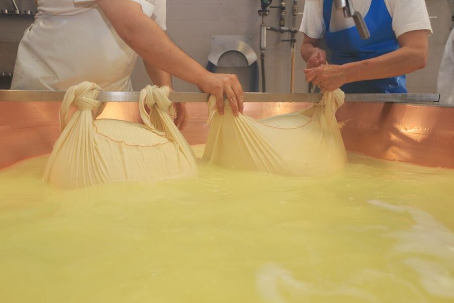 From Bologna: Emilia Excellence Food Tour - Key highlights you should know