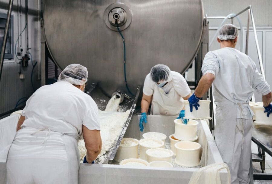 From Bologna: Emilia Excellence Food Tour - Emilia-Romagna, compressed into one 7-hour food lesson