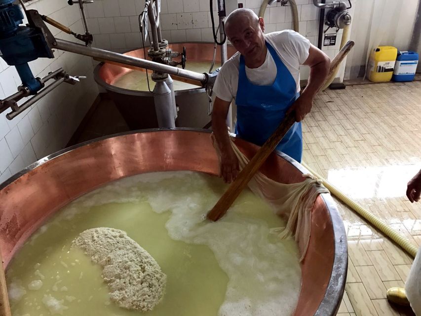 From Bologna: Emilia Excellence Food Tour - Pick-up from Bologna (and how the day stays smooth)
