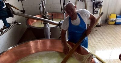 From Bologna: Emilia Excellence Food Tour - Price and what you’re really paying for at $396.50
