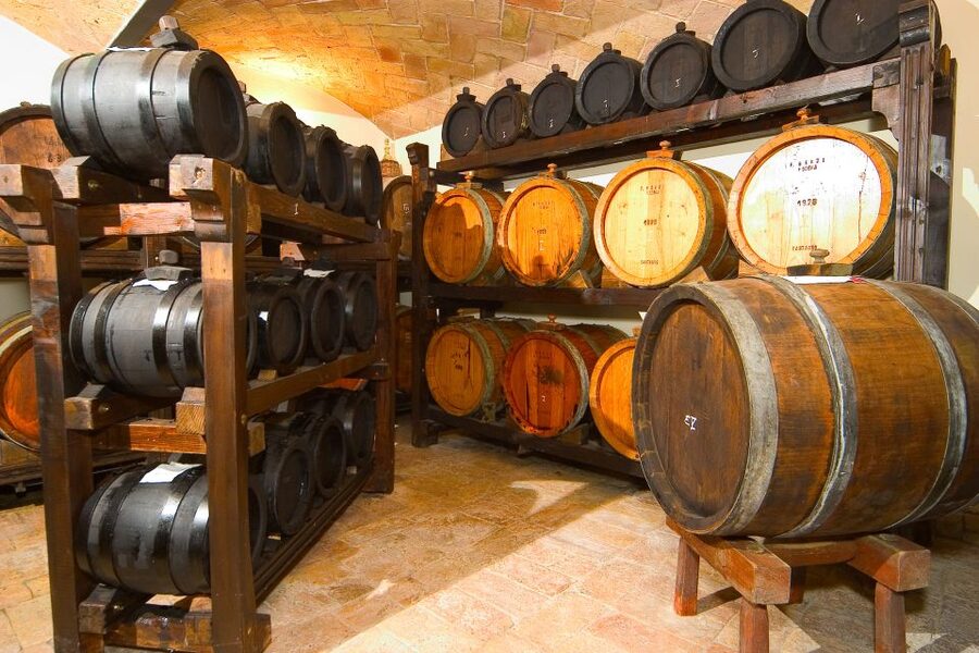 From Bologna: Emilia Excellence Food Tour - Caseificio stop and Parmigiano Regianno: what you should watch for