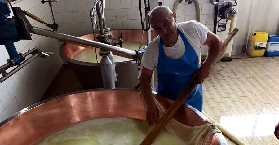 From Bologna: Emilia Excellence Food Tour - Price and what you’re really paying for at $396.50