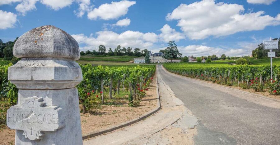 From Bordeaux: Full-Day St Emilion Wine Tasting Tour - Key highlights at a glance