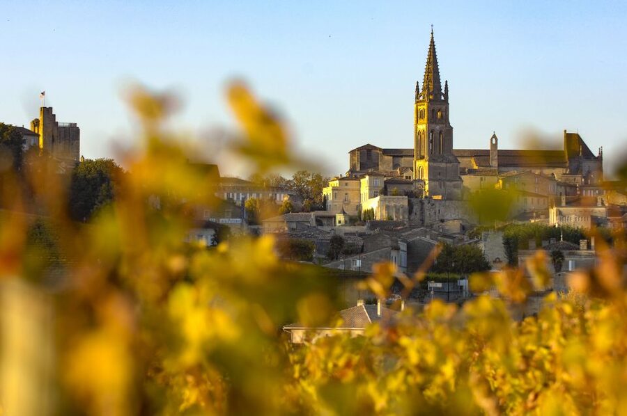 From Bordeaux: Full-Day St Emilion Wine Tasting Tour - Should you book the Bordeaux-to-Saint-Émilion wine tasting tour?
