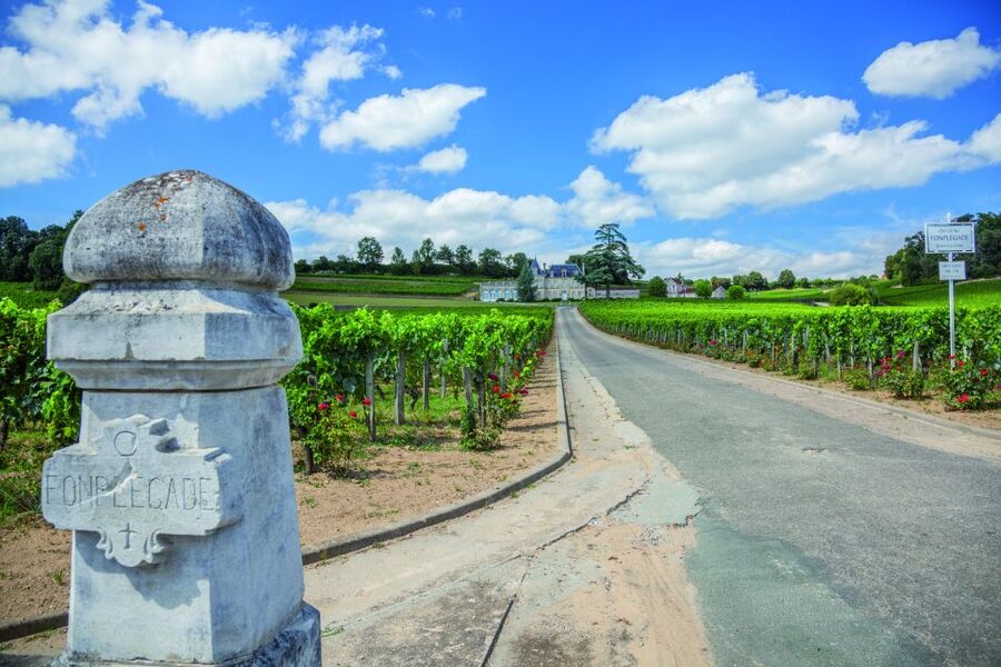 From Bordeaux: Full-Day St Emilion Wine Tasting Tour - Saint-Émilion village walk: where your guide earns their keep