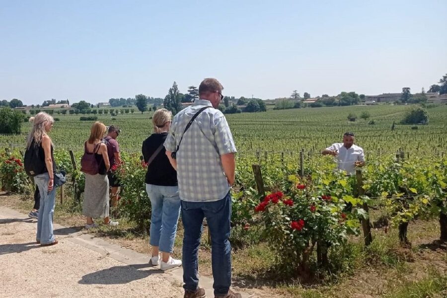 From Bordeaux: Saint-Emilion Guided Wine Tasting Tour - Winery stop two: aperitif, cheese tasting, and family-run hospitality