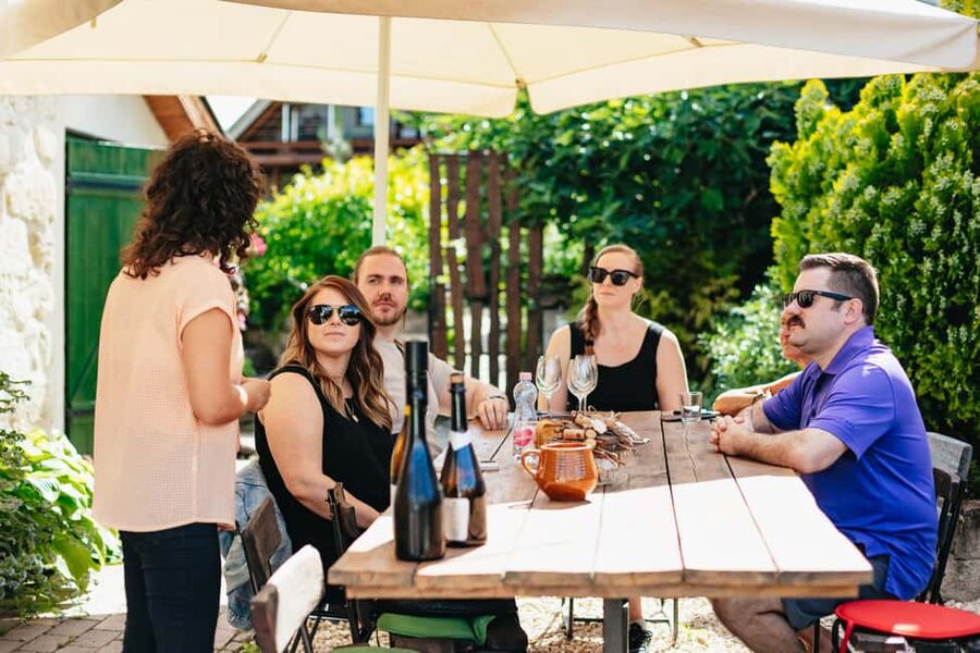 From Budapest: Etyek Wine Tasting Tour with 3-Course Meal - Key Highlights You Should Care About